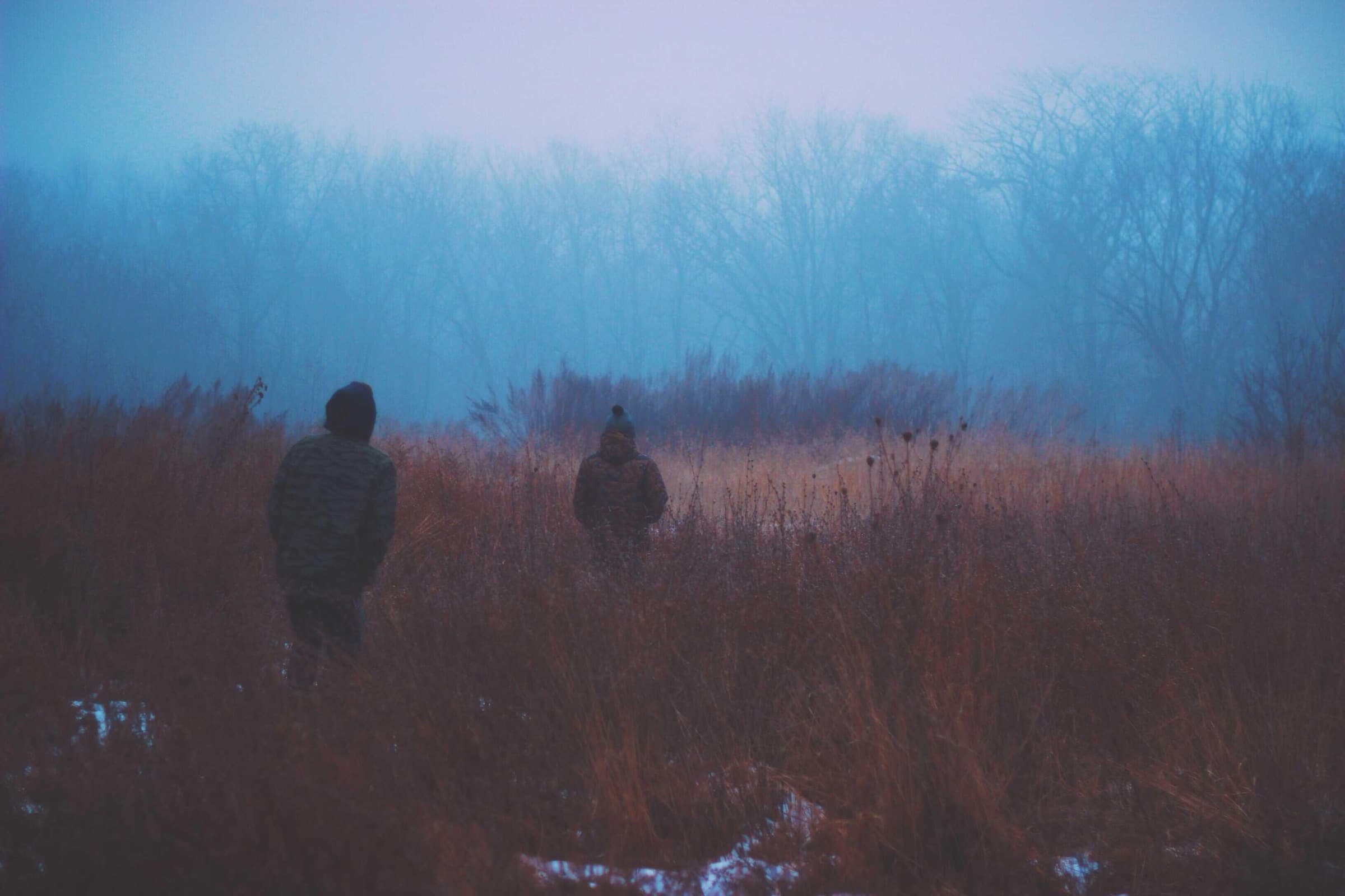 Two people walking through a misty field
